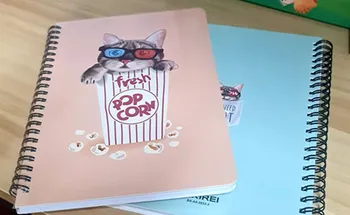 12 מחברות ספירלה A5 כריכה קשה שורה 80 דף